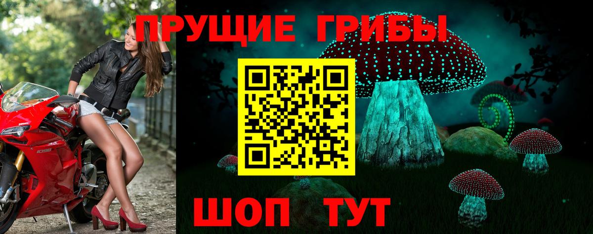 Галлюциногенные грибы Psilocybe  Вход с VPN  Печора 